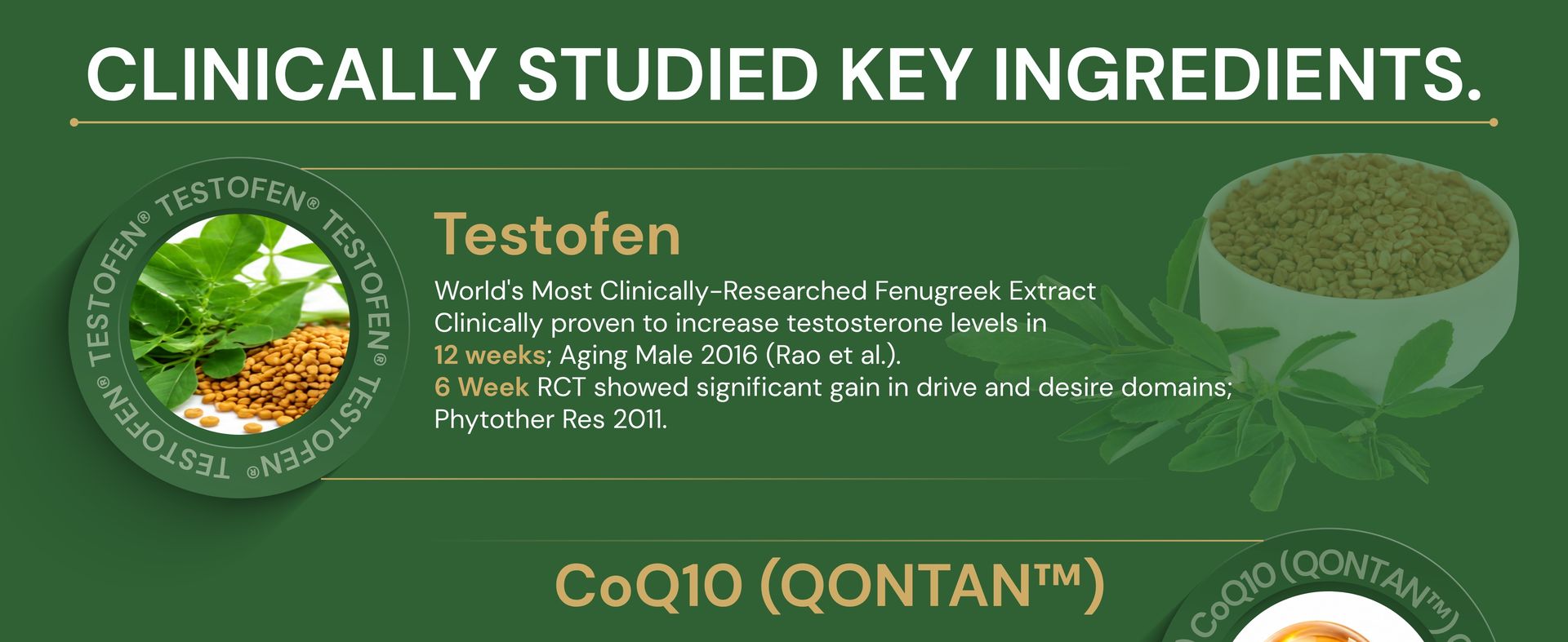 Daily Boost™ in you | 360° Men's Wellness Nutrition | Patented Testofen® + CoQ10 (QONTAN™) + Cordyceps + L-Theanine | Supports Testosterone, Fertility, Sperm Health, Energy, Longevity, Stress & Sleep