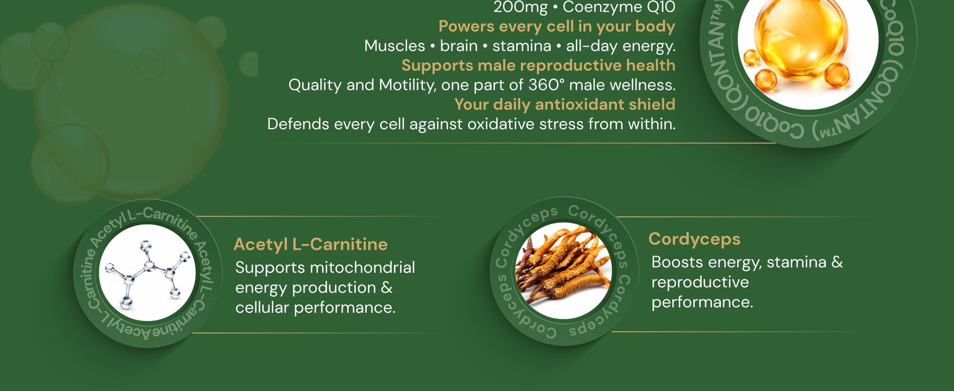 Daily Boost™ in you | 360° Men's Wellness Nutrition | Patented Testofen® + CoQ10 (QONTAN™) + Cordyceps + L-Theanine | Supports Testosterone, Fertility, Sperm Health, Energy, Longevity, Stress & Sleep
