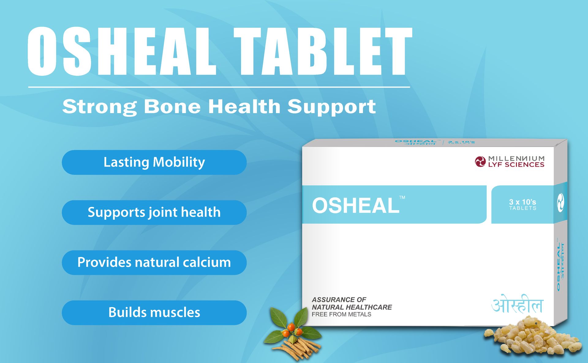 OSHEAL TABLETS | Vegetarian Alternative to Calcium | 120 Tablets