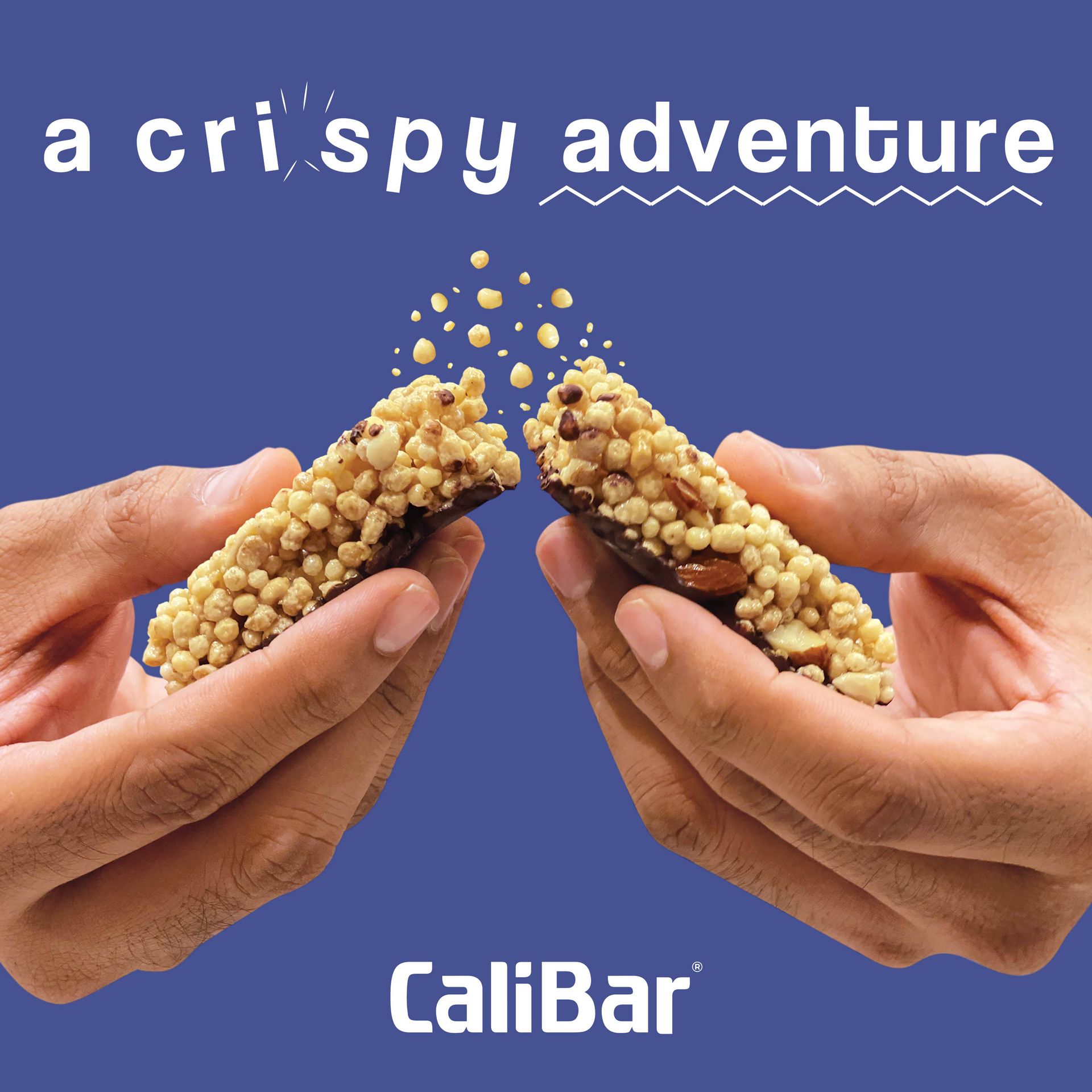 CaliBar 10g Protein Bar - Choco Blueberry Crispy Bar (Pack of 6) Low In Sugar, Real Blueberry Bits, Gluten-Free, 4g Fiber, No Preservatives, No Palm oil, Delicious Taste (40g x 6 Bars)