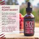freshfield-naturals-b-complex-drops-b12--3.jpg