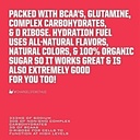 ryno-power-hydration-fuel-electrolyte-dr-4.jpg