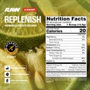 raw-replenish-premium-electrolytes-powde-2.jpg