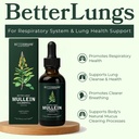 betterlungs-mullein-leaf-extract-and-eld-3.jpg