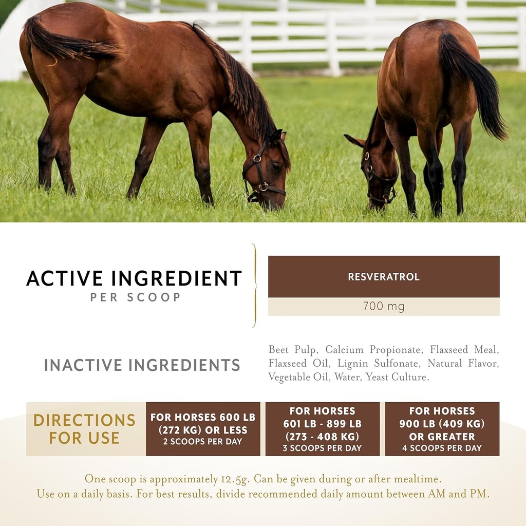 metabarol-horse-supplement-pellets-with--3.jpg