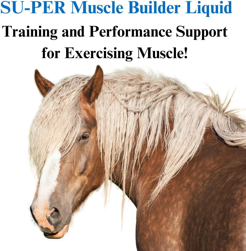 su-per-muscle-builder-horse-supplement---2.jpg