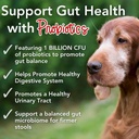 iheartdogs-24-in-1-senior-multivitamin-d-2.jpg
