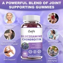 catfit-glucosamine-chondroitin-gummiesex-3.jpg
