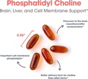 allergy-research-group-phosphadityl-chol-5.jpg