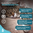 cat-respiratory-comfort-supplement---nat-4.jpg