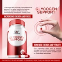 3-pack---glycogen-support-glycogen-contr-2.jpg