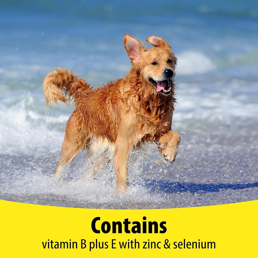 vetzyme-dog-b-e-200-tablets-6.jpg