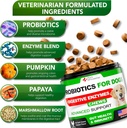 2-pack-probiotics-for-dogs---dog-probiot-3.jpg