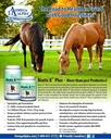 biotic-8-plus-22lb-3.jpg
