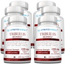Genehmigte Wissenschaft Tribulus Terrestris - 360 Kapseln - Boosts Testosteron, verbessert sportliche Leistung, unterstützt Muskelwachstum und Reparatur - 95% Furostanol Saponins - Bioperine - Vegan - 6 Flaschen