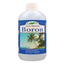 Eidon Liquid Boron Drops - Ionic Mineral Boron Supplement, Essential Element zur Unterstützung der Gehirngesundheit, Bioverfügbar, keine Konservierungsstoffe oder Additive - 18 oz