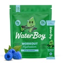 Waterboy Workout Hydration | 2,960mg Zuckerfreie Elektrolytpulverpakete | L-Glutamin + Vitamine | Kein Zucker, ganz natürlich, glutenfrei | 15 Drink Stick Mixes (Blue Raspberry)