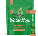 Waterboy Workout Hydration | 2,960mg Zucker Kostenlose Elektrolyt-Pulver-Packets | L-Glutamin + Vitamine | Kein Zucker, alle natürlichen, glutenfreien | 15 Getränke-Stick-Mixe (Fruit Punch)
