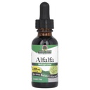 Nature's Answer Alcohol-Free Alfalfa Kräuterextrakt, 1-Fluid Ounce unterstützt Immunsystem, Blut, Verdauung, Energie Levels - Hilft bei der Entgiftung