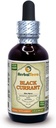 Schwarze Johannisbeere (Ribes nigrum) Tinktur, getrocknete Blätter Flüssiger Extrakt (Markenname: HerbalTerra, Proudly Made in USA) 2 fl.oz (60 ml)