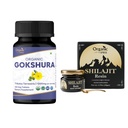 ORGANIC SPREE Gokshura & Himalayan Shilajit – USDA Organic Tribulus Terrestris 120 Tablets & 20g Resin mit 85+ Trace Minerals – unterstützt Energie & Immungesundheit*