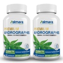 Palmara Health Premium Andrographis Paniculata Extract 2 Pack - 1.200mg (100mg Andrographolides) per Servieren, Non-GMO, Vegan, Glutenfrei