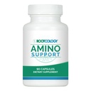 Rootkologie von Dr. Izabella Wentz | Amino Support | Aminosäure Komplex Kapseln mit L-Glutamin, Glycin & MSM | 90 Kapseln