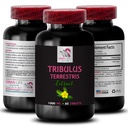 Dynamic Strength Support - TRIBULUS TERRESTRIS EXTRACTS - Energy Source, Stamina Power, Muscle Recovery Support, Active Body Support, Plant-Based Energy Boost, Strength and Focus 1 Bottle 60 Tablets