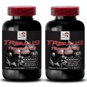 Pure Energy Formula - TRIBULUS TERRESTRIS EXTRACT - Strength Boosting Blend, Physical Power Recharge, Active Energy Blend, Daily Muscle Support, Dynamic Muscle Boost 2 Bottles 180 Tablets