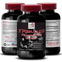 Physical Vitality Support - TRIBULUS TERRESTRIS EXTRACT - Energy Lift, Plant-Based Strength Formula, Active Body Boost, Strength Optimization, Dynamic Energy Blend, Muscle Power 1 Bottle 90 Tablets
