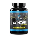 eFlow Creatine Kapseln, HCL Creatine Pillen - Creatine Ergänzung für Männer & Frauen, Muskelaufbau, Ausdauer, Stärke, mit AstraGin und Senactiv (1500mg, 90 Kapseln)