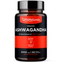 PhiNaturals Organic Ashwagandha Root Extract in Vegan Capsules Equal to 6000 Mg Root - Ashwaganda Supplement für Männer und Frauen mit 1500 Mg pro Servierung 30 Servietten - 500mg Per Vegan Capsule 90 Count
