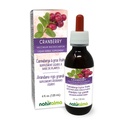 Naturalma Cranberry (Vaccinium macrocarpon oder Oxycoccus macrocarpos) Fruit Alcohol-Free Tincture - 4 fl oz Flüssiger Extrakt in Tropfen - Kräuterergänzung - Vegan