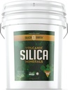 Vulkanische Kieselsäure Mineralien Mikronisiert- 40 lbs