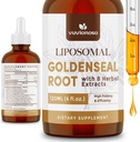 Goldenseal Wurzelextrakt 3000mg für Immun- und Respiratorische Wellness - Fast Absorbieren | Sugar-Free | Vegan | 4 Fl Oz