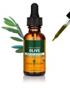 Herb Pharm Certified Organic Olive Leaf Liquid Extract Tropfen für die Unterstützung des Immunsystems, 1 Oz