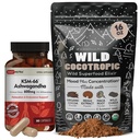 DailyNutra KSM 66 Ashwagandha (90 Kapseln) und Mushroom Cacao Mix (16oz) Bundle für Entspannung und Fokus