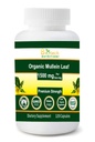 Bio Mullein Blatt 1500 mg Servieren 120 Gemüse Kapseln Made in USA