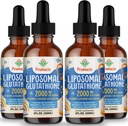 2000MG Liposomal Glutathione Flüssigkeit, 98% Absorption, Aktive Form L-Glutathione Ergänzung, Vegan freundlich, Leistungsstarke Antioxidante Komplex für Immunsystem, Aging Defense, Detox,8 FL.OZ