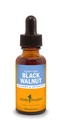 Kräuter Pharm Black Walnut Liquid Extract für Reinigung und Entgiftung - 1 Unze