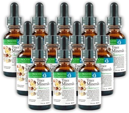 Morter Trace Minerals in kolloidaler Suspension (12 Pack) Morter HealthSystem Best Process Alkaline — Nährstoffdichte Spurenelemente, Fulvic Minerals & Aminosäuren