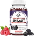 Shilajit Gummies - Himalayan Organic Shilajit Supplement 14-in-1 Komplex mit schwarzem Seed Oil & Ayurvedic Kräutermischung, Fulvic Säure für Männer & Frauen - für Energie, kognitive und Immunität Unterstützung