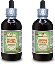 Muira Puama (Ptychopetalum Olacoides) Glycerit, Organic Alcohol-Free Liquid Extract (Markenname: HerbalTerra, Proudly Made in USA) 2x4 fl.oz (2x120 ml)