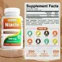 Best Naturals Niacin 500mg 250 Tabletten mit Spülung - auch genannt Vitamin B3 (250 Zähler (Pack von 2))