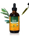 Kräuter Pharm Certified Organic Olive Leaf Liquid Extract für Immunsystem Unterstützung, 4 Fl Oz