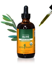 Kräuter Pharm Certified Organic Olive Leaf Liquid Extract für Immunsystem Unterstützung, 4 Fl Oz