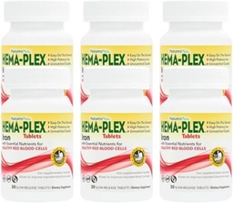 NaturesPlus Hema-Plex Iron - 30 Sustained Release Tablets, Pack von 6-85 mg Elemental Iron - Total Blood Health - mit Vitamin C & Bioflavonoids - Vegan, Gluten Free - 180 Total Servings