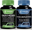 WELLNESS LABSRX Resveratrol Kapseln mit Sea Moss Kapseln