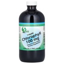 World Organics Chlorophyll Supplement Flüssigkeiten, 100 mg, 16 Unze, 16 Fl Oz (Pack von 1)