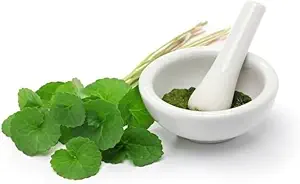 (Pack von 2) Bio Centella Asiatica Pulver (50g)